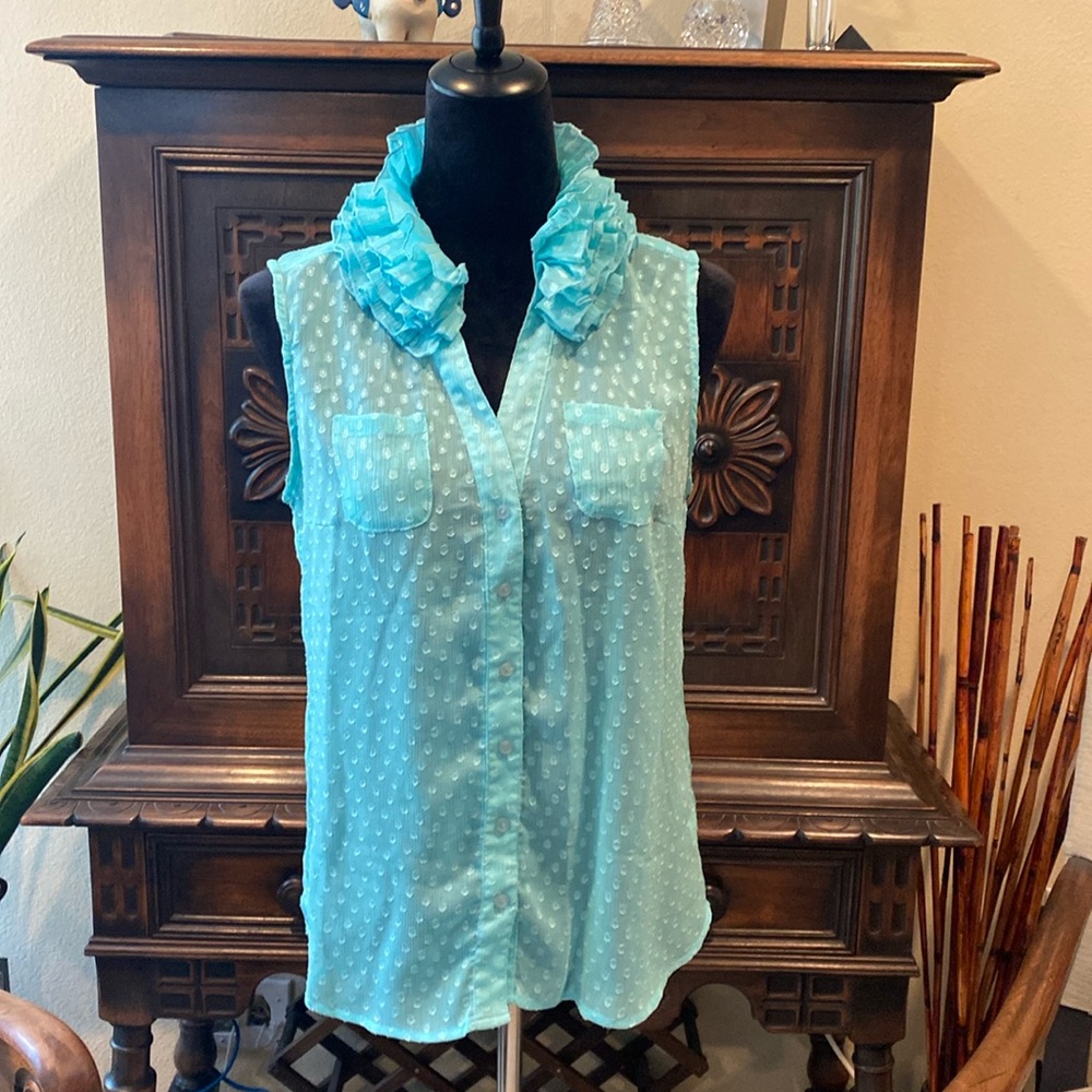 Sheer ruffled polkadot blouse